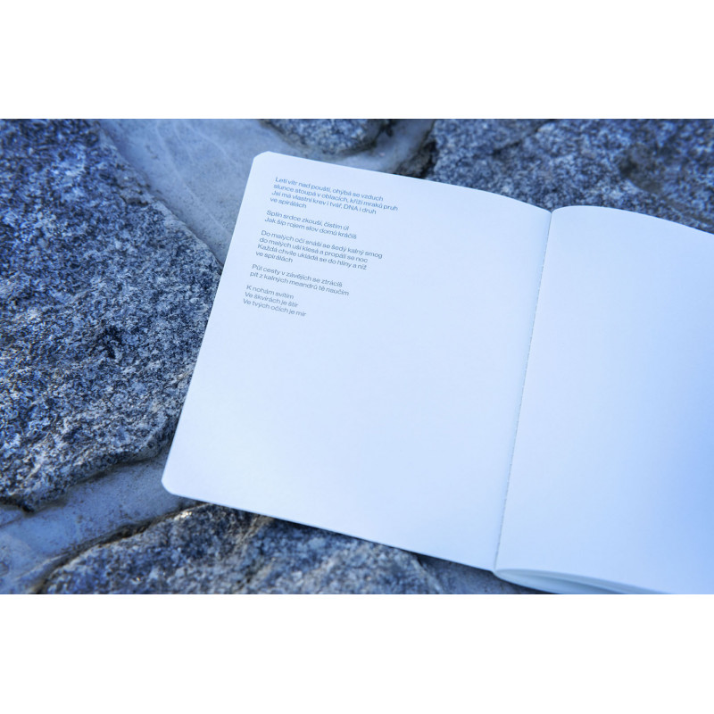 DNA / DESIGNOVY SESIT PAPELOTE